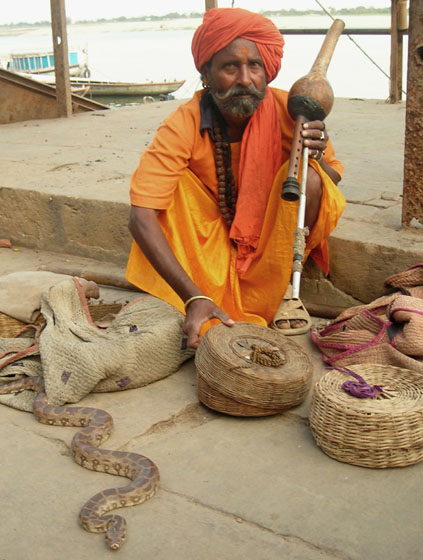snakecharmer