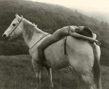 horsespirit1000.JPG (28812 bytes)